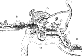 Blokzijl 1570, kaart Robles